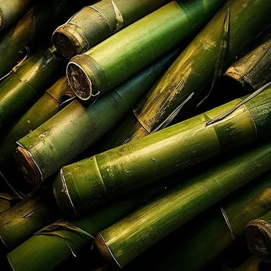 Bamboo extract for hair - what it is, what it does and how to use